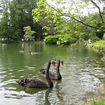 Rossek バート・リーベンシュタイン