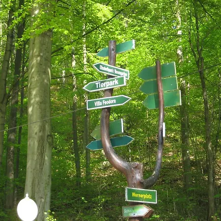 Rossek Bad Liebenstein