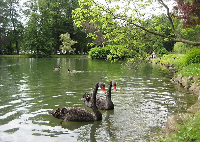 Rossek Bad Liebenstein